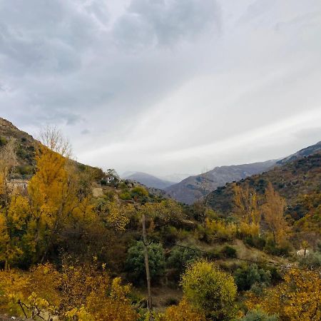 El Hogar De Mercedes Güéjar Sierra Eksteriør billede