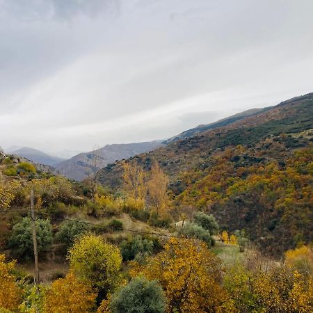 El Hogar De Mercedes Güéjar Sierra Eksteriør billede