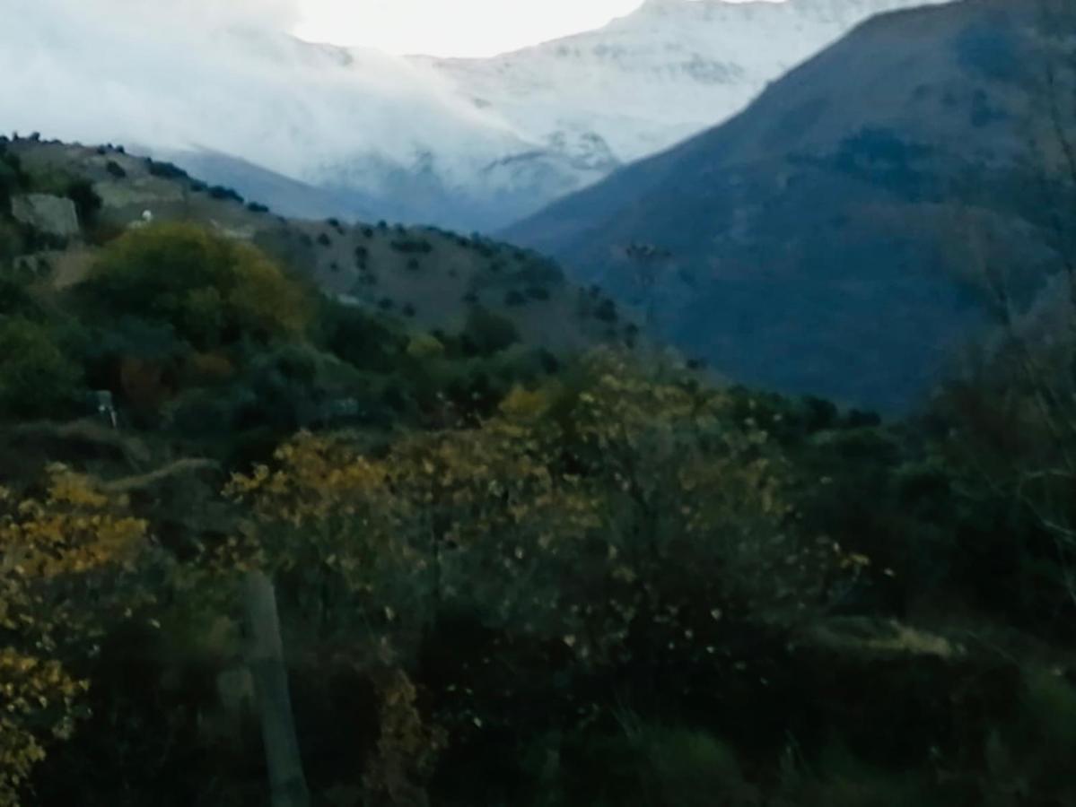 El Hogar De Mercedes Güéjar Sierra Eksteriør billede