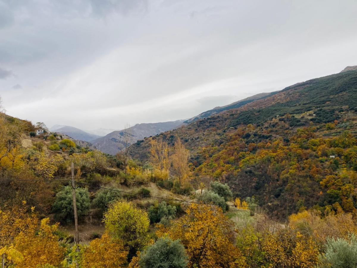 El Hogar De Mercedes Güéjar Sierra Eksteriør billede