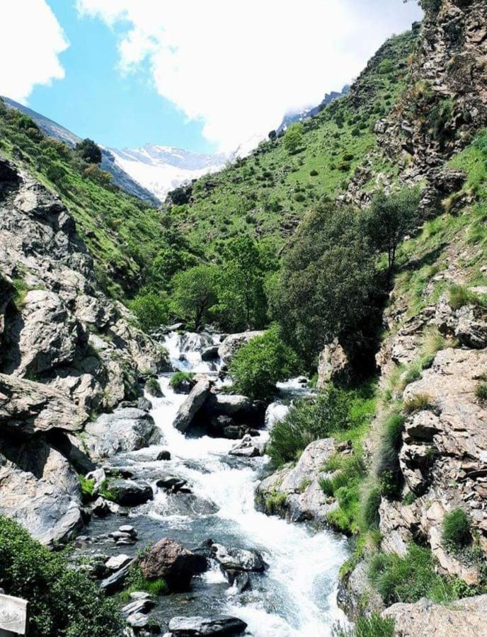 El Hogar De Mercedes Güéjar Sierra Eksteriør billede